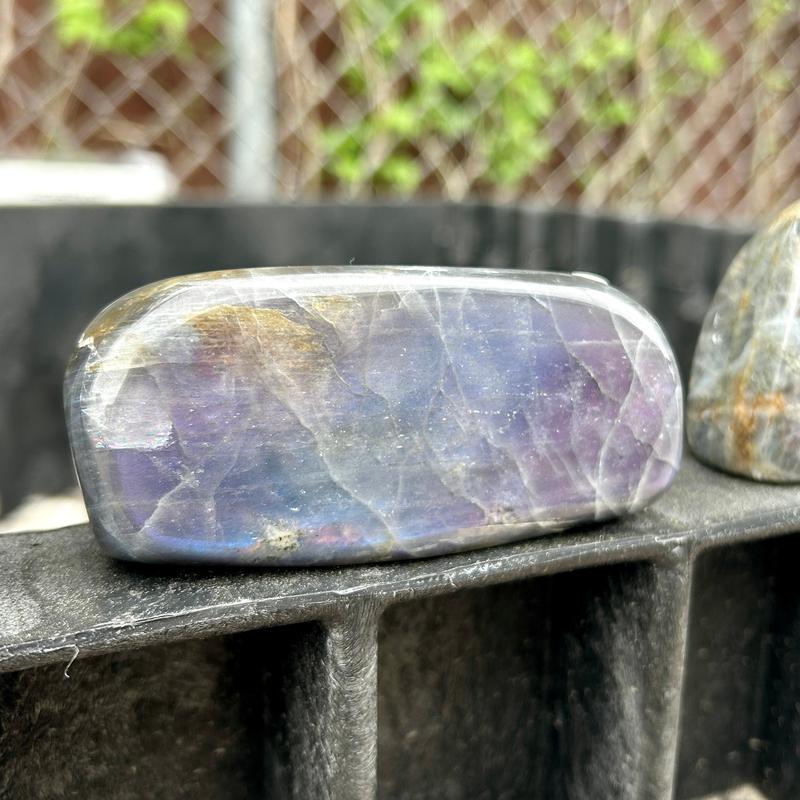 Polished Rare Purple Flash Labradorite Free Forms || Trunk Show-Nature's Treasures