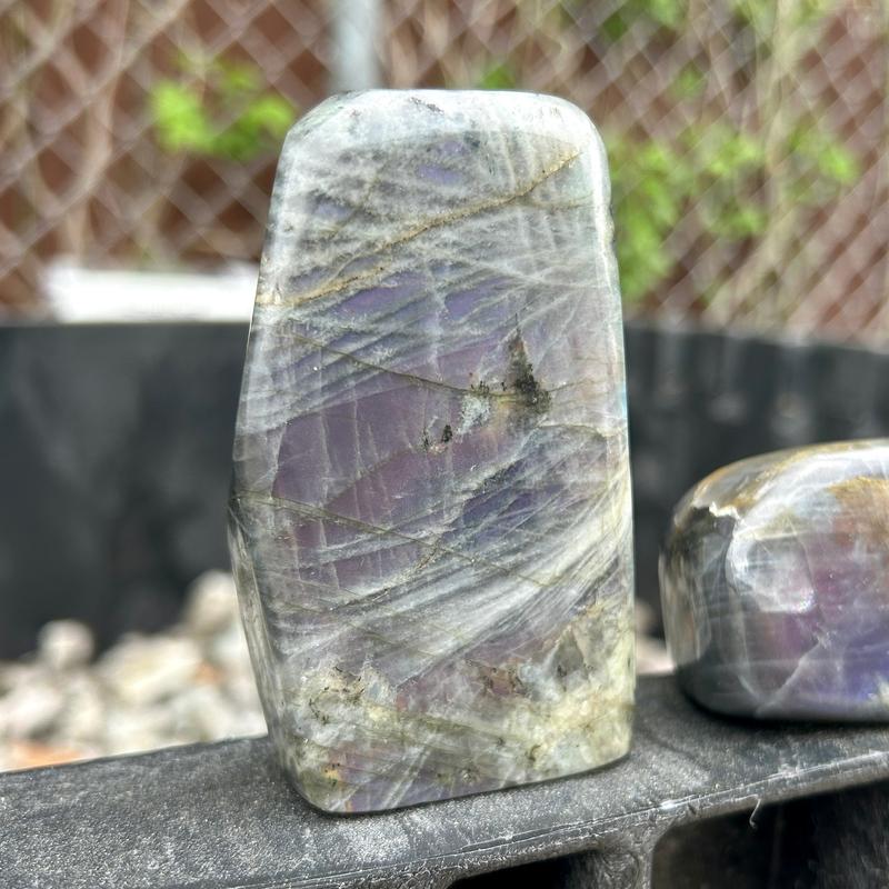 Polished Rare Purple Flash Labradorite Free Forms || Trunk Show-Nature's Treasures
