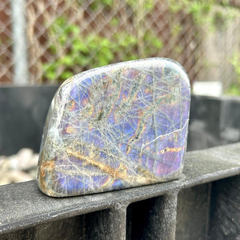 Polished Rare Purple Flash Labradorite Free Forms || Trunk Show-Nature's Treasures