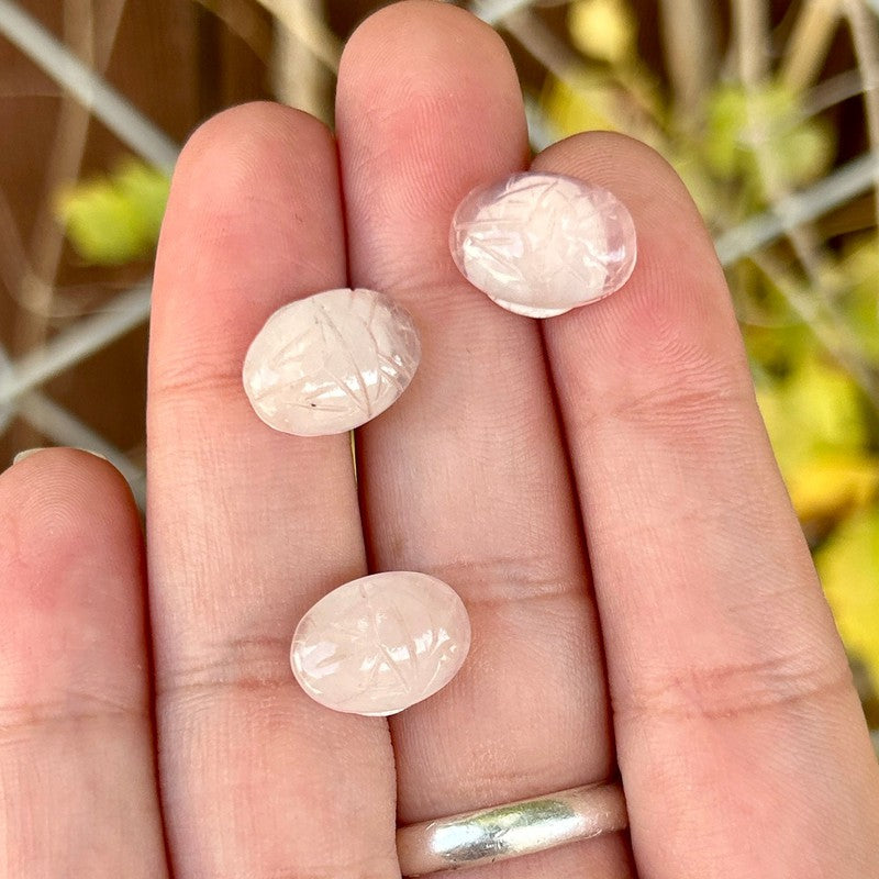 Polished Rose Quartz Scarab Beetle Cabochons || Brazil-Nature's Treasures