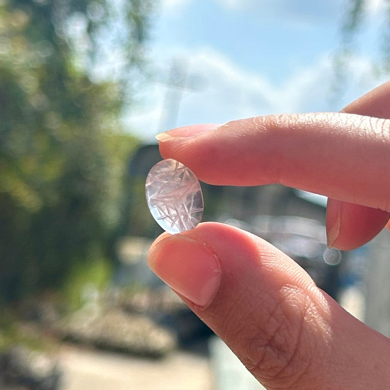 Polished Rose Quartz Scarab Beetle Cabochons || Brazil-Nature's Treasures