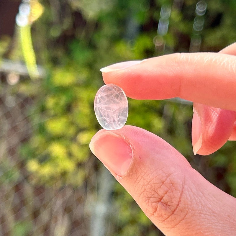 Polished Rose Quartz Scarab Beetle Cabochons || Brazil-Nature's Treasures