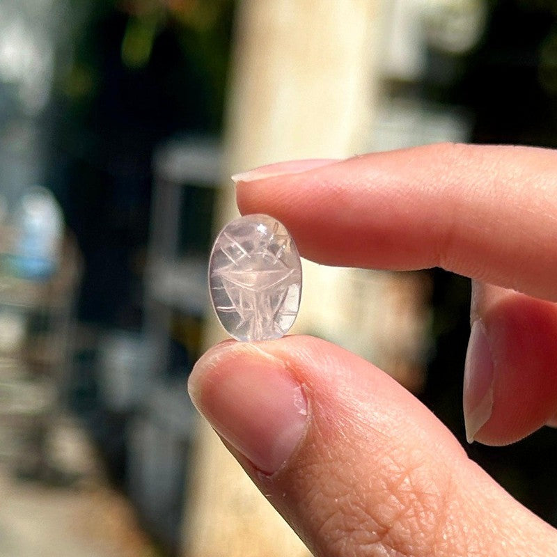 Polished Rose Quartz Scarab Beetle Cabochons || Brazil-Nature's Treasures