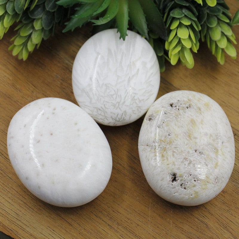 Polished Scolecite Palm Stones || Cleansing, Inner-Peace || India-Nature's Treasures