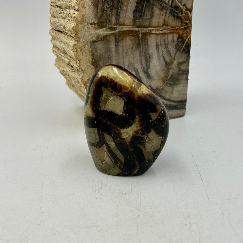 Polished Septarian Free Forms || Stress Relief || Madagascar-Nature's Treasures