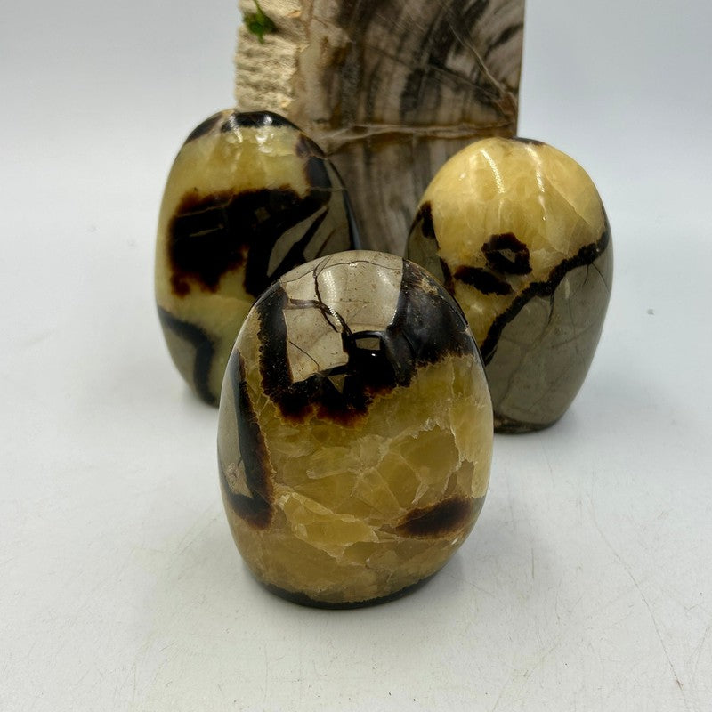 Polished Septarian Free Forms || Stress Relief || Madagascar-Nature's Treasures