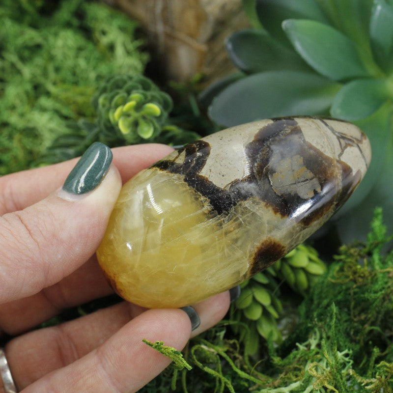 Polished Septarian Massage Tool || Stress Reliever || Madagascar-Nature's Treasures