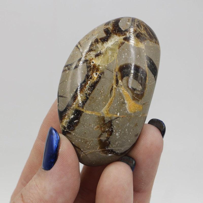 Polished Septarian Palm Stones || Intuition || Madagascar-Nature's Treasures