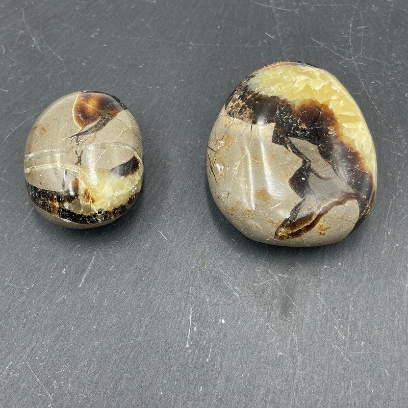 Polished Septarian Palm Stones || Intuition || Madagascar-Nature's Treasures