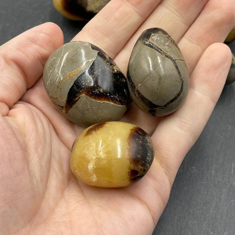 Polished Septarian Palm Stones || Intuition || Madagascar-Nature's Treasures