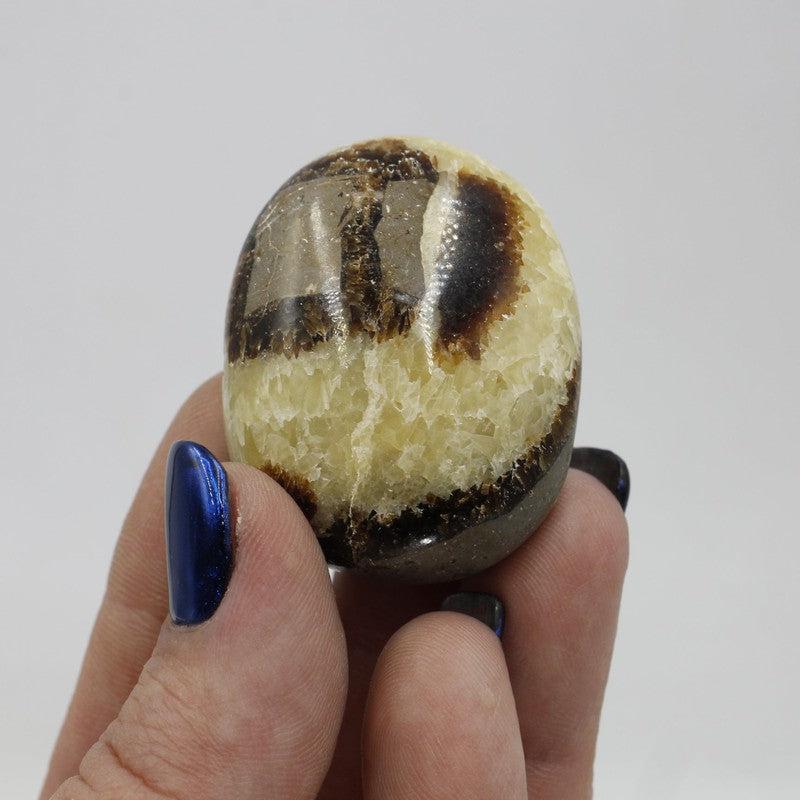 Polished Septarian Palm Stones || Intuition || Madagascar-Nature's Treasures