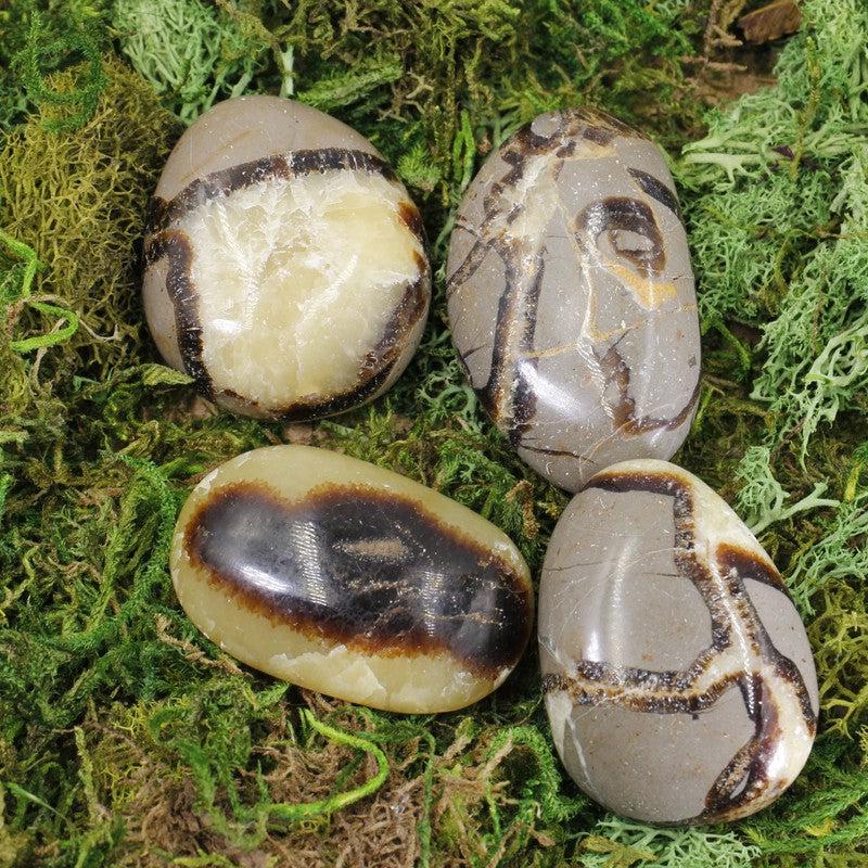Polished Septarian Palm Stones || Intuition || Madagascar-Nature's Treasures