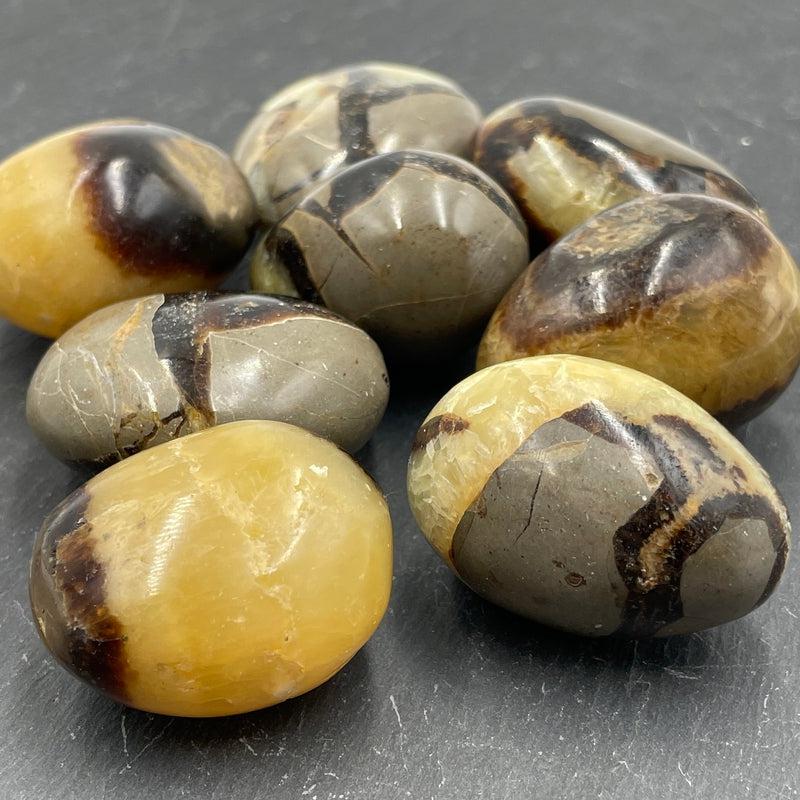 Polished Septarian Palm Stones || Intuition || Madagascar-Nature's Treasures