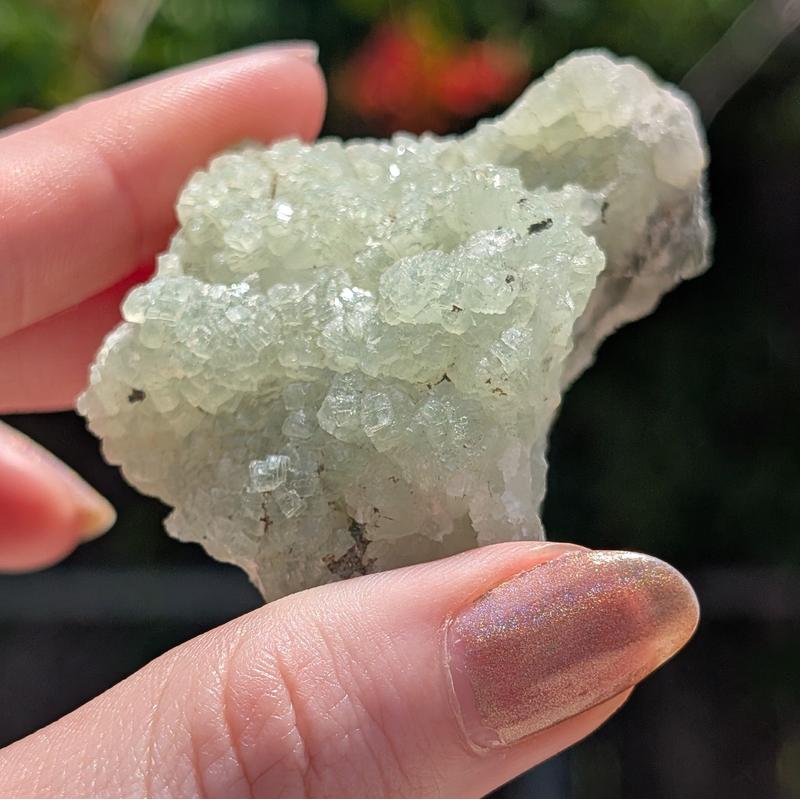 Prehnite With Epidote Rough Clusters || Trunk Show-Nature's Treasures