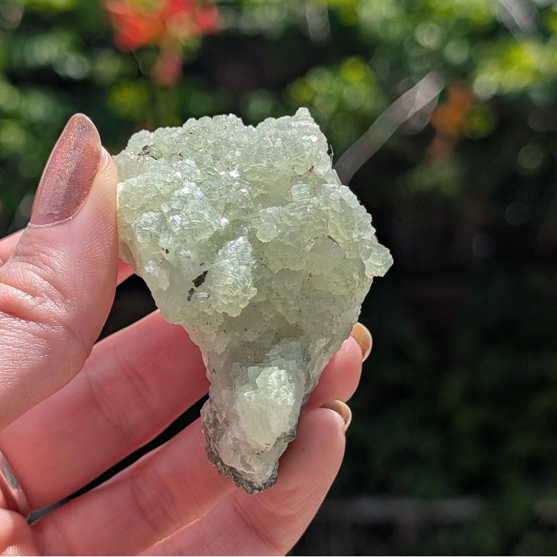 Prehnite With Epidote Rough Clusters || Trunk Show-Nature's Treasures