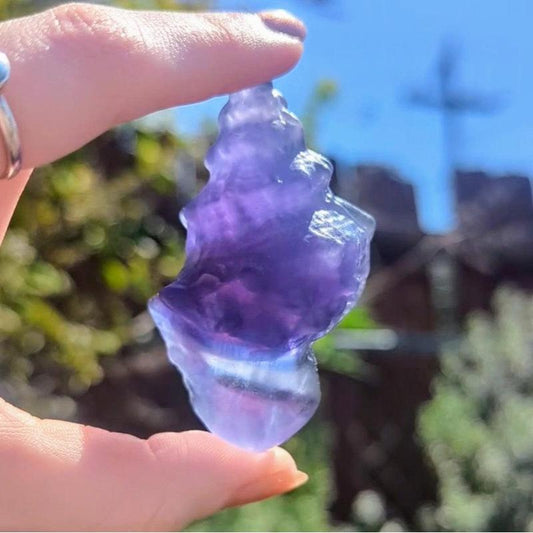 Purple Fluorite Conch Shell Carving || Trunk Show-Nature's Treasures