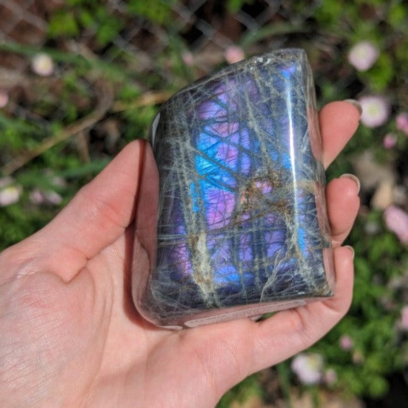 Rare Polished Purple Flash Labradorite Free Forms-Nature's Treasures