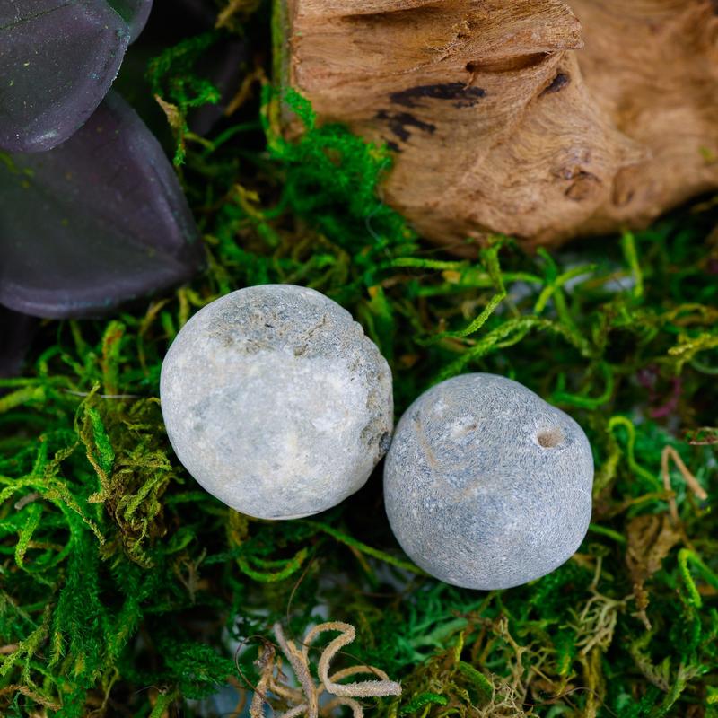 Rough Prehnite Nodules || Trunk Show-Nature's Treasures