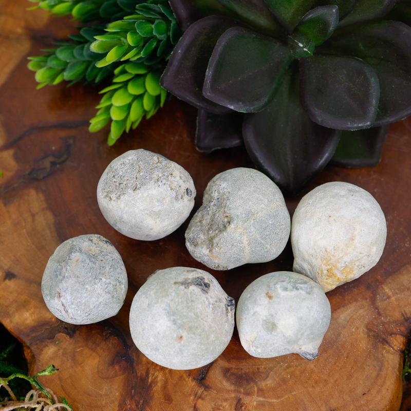 Rough Prehnite Nodules || Trunk Show