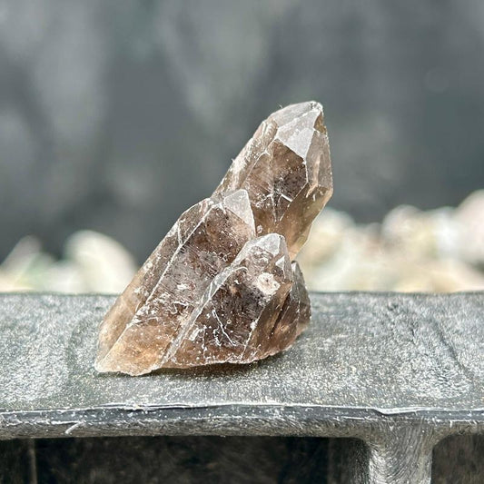 Rough Smoky Quartz Cluster Points || Trunk Show-Nature's Treasures