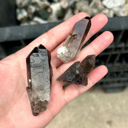 Rough Smoky Quartz Cluster Points || Trunk Show-Nature's Treasures
