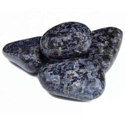SHOW PRODUCT: Indigo Gabbro Palm Stone-Nature's Treasures