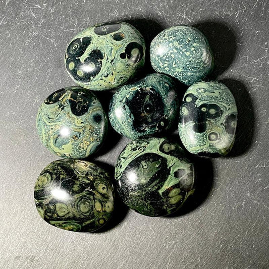SHOW PRODUCT: Polished Kambaba Jasper Palm Stone Pebbles-Nature's Treasures