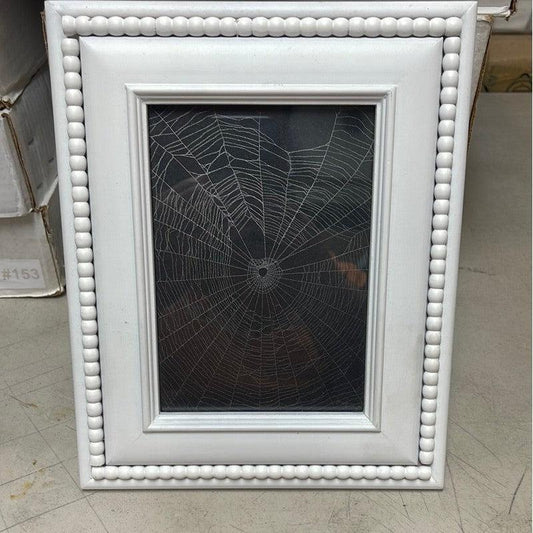 SHOW PRODUCT: Preserved and Framed Orb Weaver Spider Web-Nature's Treasures
