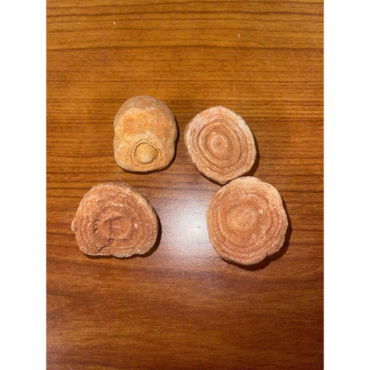 SHOW PRODUCT: Stromatolite Nodule-Nature's Treasures