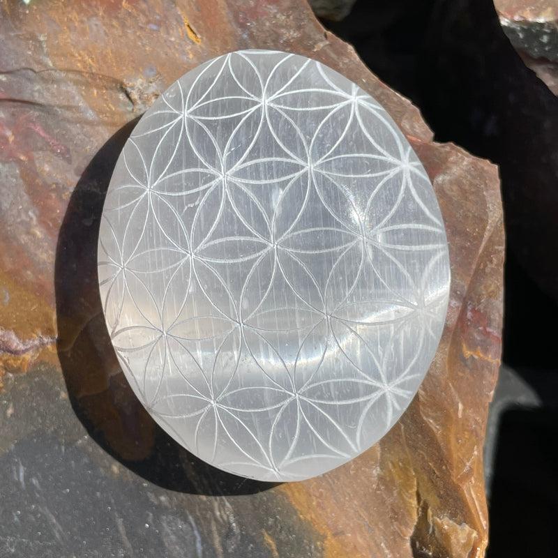 Selenite Satin Spar Palm Stones || Flower Of Life-Nature's Treasures