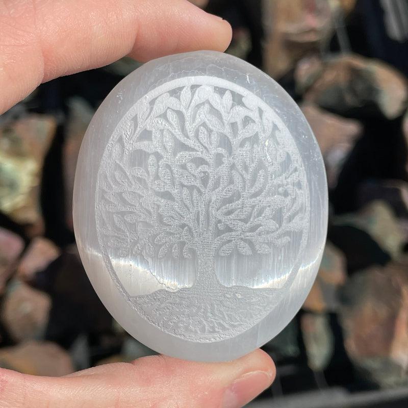 Selenite Satin Spar Tree Of Life Palm Stone || Morocco-Nature's Treasures