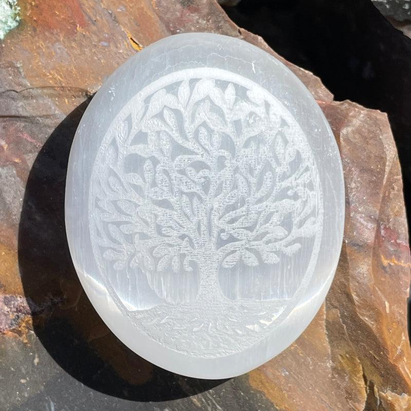 Selenite Satin Spar Tree Of Life Palm Stone || Morocco-Nature's Treasures