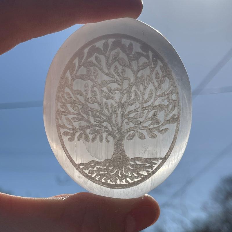 Selenite Satin Spar Tree Of Life Palm Stone || Morocco-Nature's Treasures