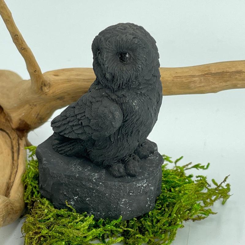 Shungite Owl Totem Carvings || Protections || Russia-Nature's Treasures