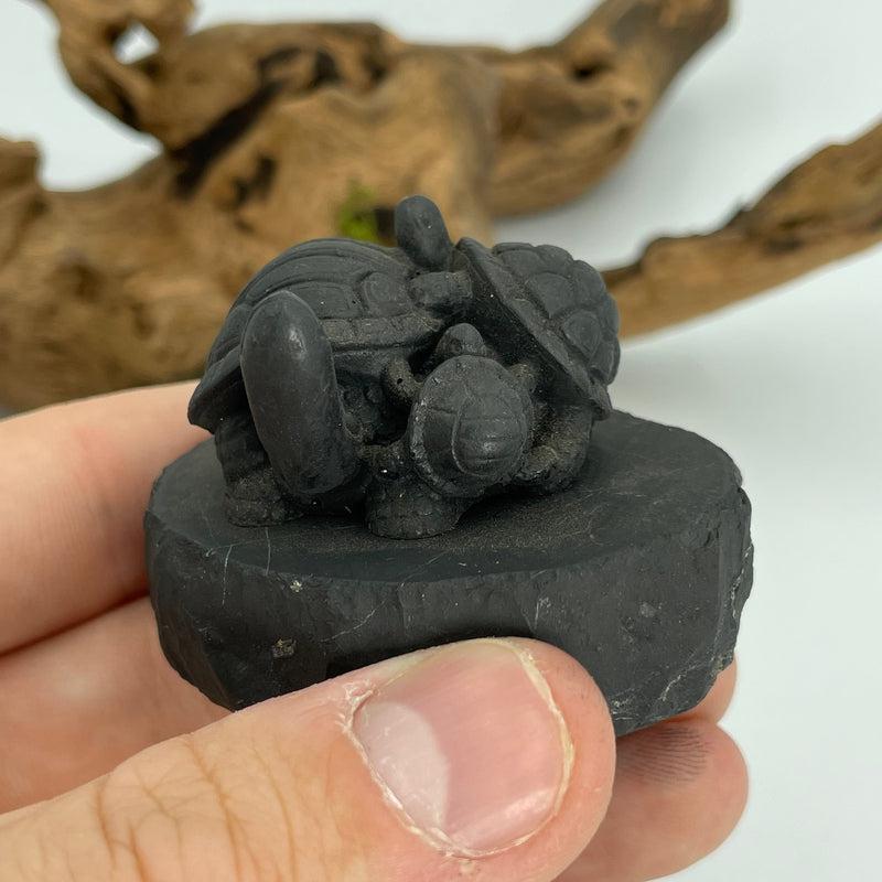 Shungite Turtle Totem Carvings || Protections || Russia-Nature's Treasures