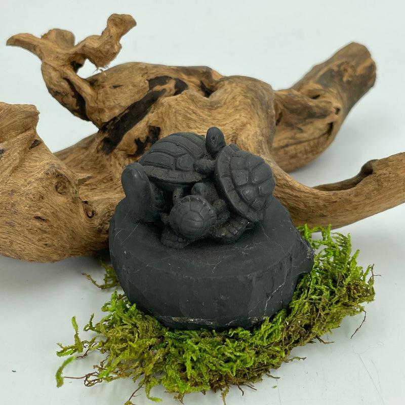 Shungite Turtle Totem Carvings || Protections || Russia-Nature's Treasures