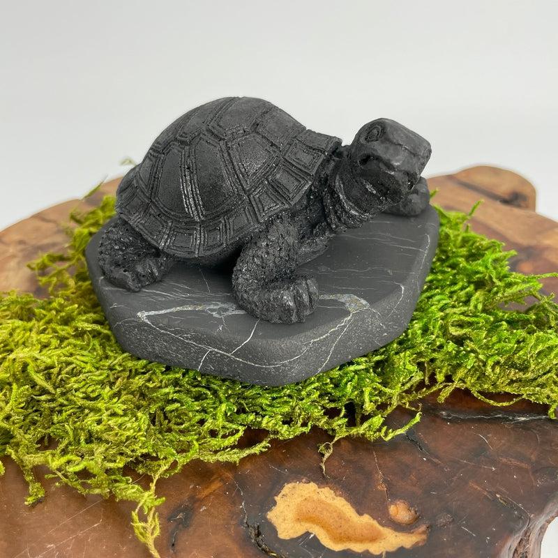 Shungite Turtle Totem Carvings || Protections || Russia-Nature's Treasures