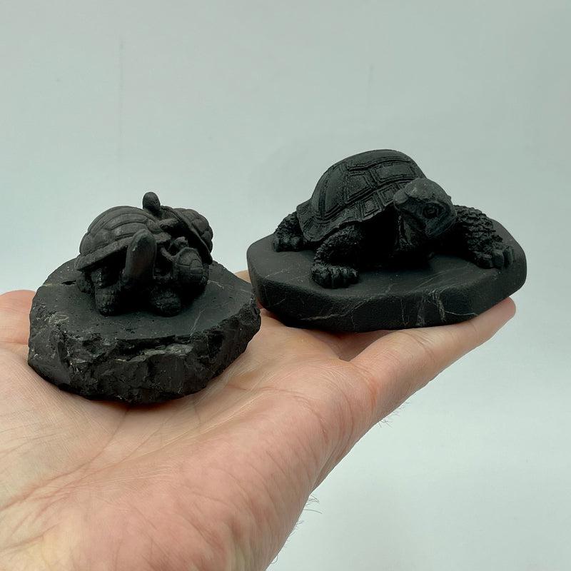 Shungite Turtle Totem Carvings || Protections || Russia-Nature's Treasures