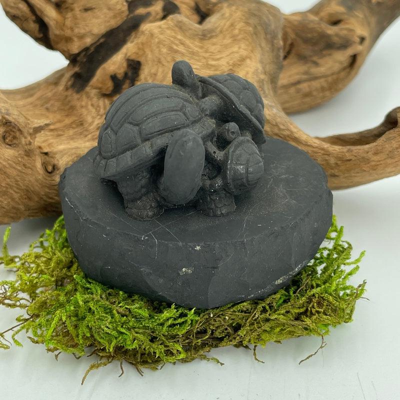Shungite Turtle Totem Carvings || Protections || Russia-Nature's Treasures