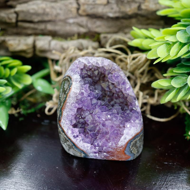 Small Cut Base Amethyst Clusters || Trunk Show 2024-Nature's Treasures