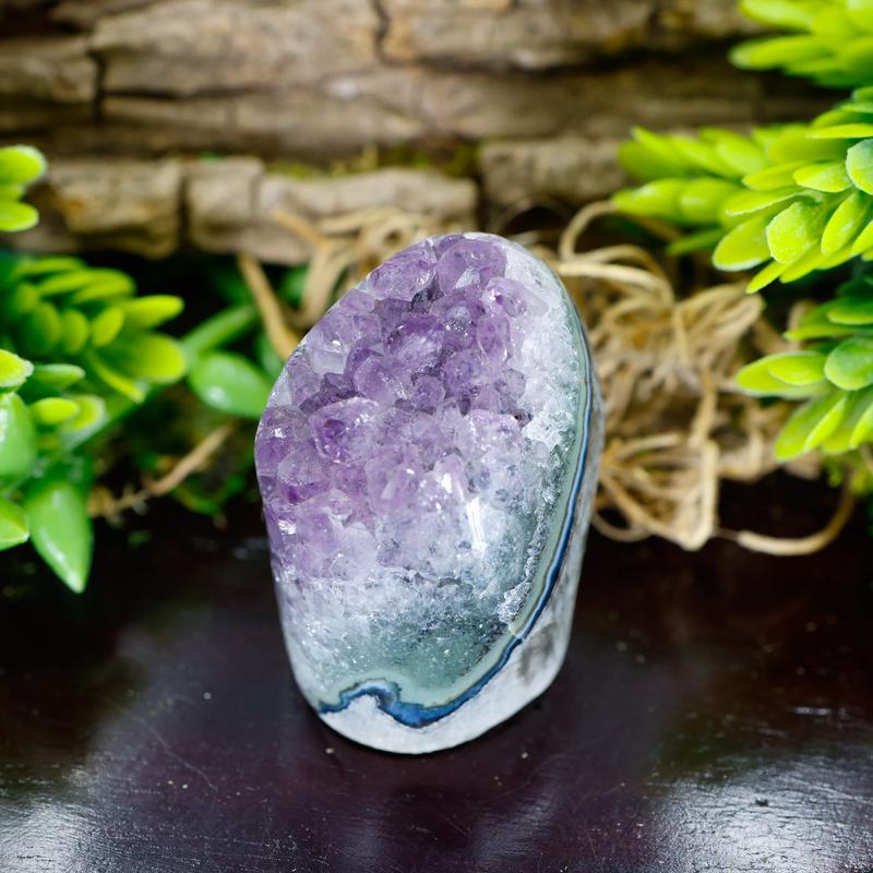 Small Cut Base Amethyst Clusters || Trunk Show 2024-Nature's Treasures