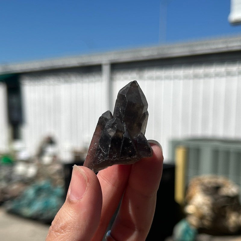 Smoky Quartz Clusters-Nature's Treasures