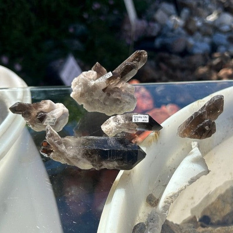 Smoky Quartz Clusters-Nature's Treasures