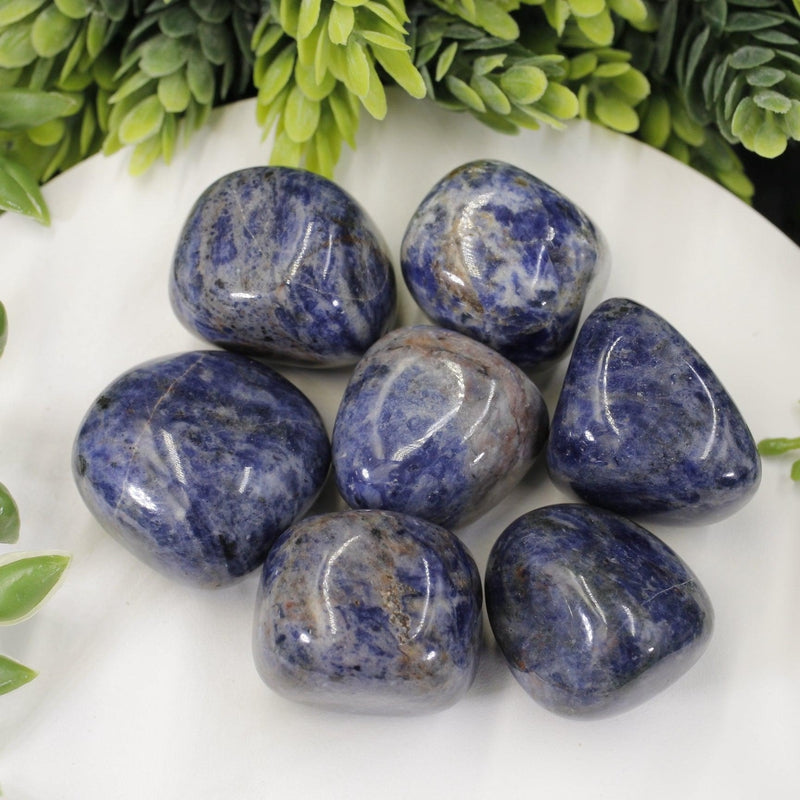Sodalite Tumbled Stone-Nature's Treasures