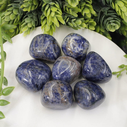 Sodalite Tumbled Stone-Nature's Treasures