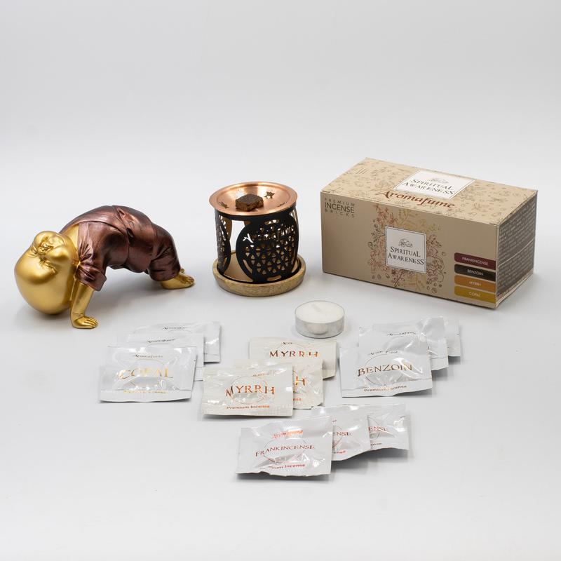 Spiritual Awareness Incense Brick Set || Burner & 4 Types of Incense-Nature's Treasures