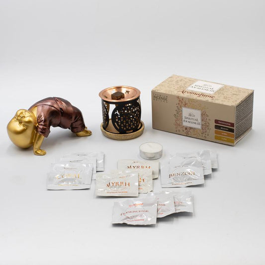 Spiritual Awareness Incense Brick Set || Burner & 4 Types of Incense-Nature's Treasures