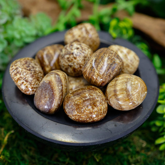 Banded Aragonite Tumbled Stone-Nature's Treasures