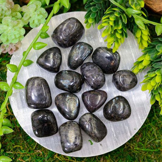 Larvikite Tumbled Stone