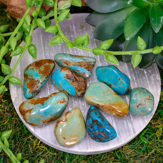Turquoise Crystal Tumble || Mexico-Nature's Treasures